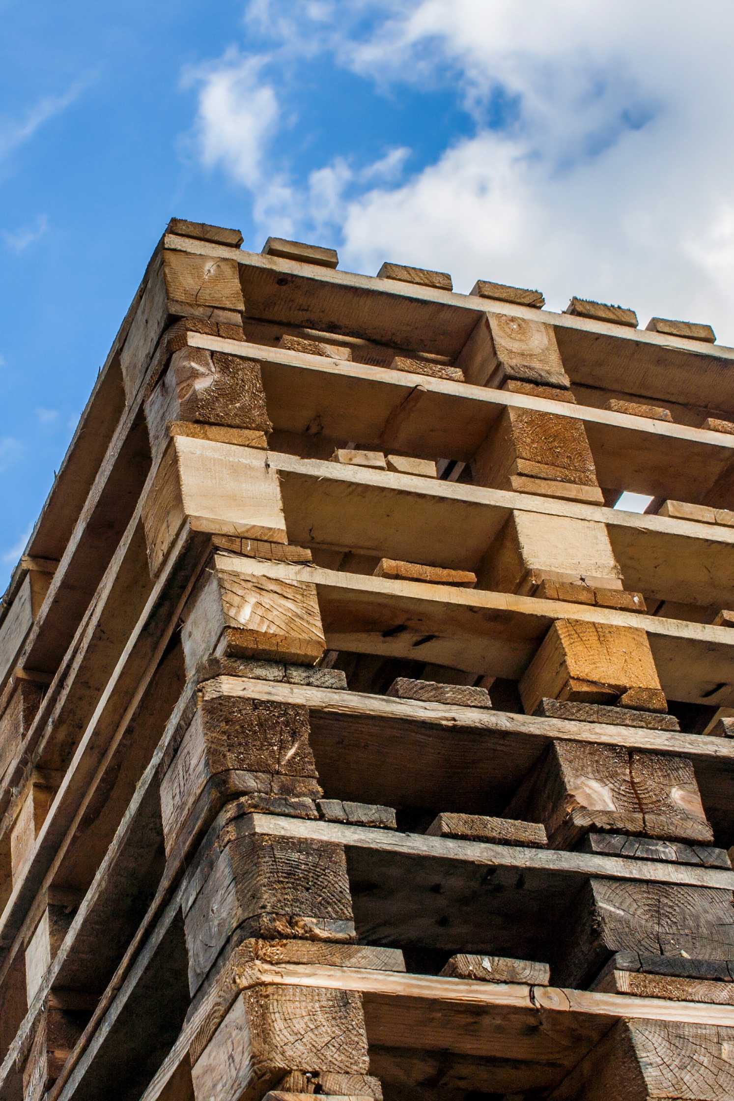 Design fără titlu (3)