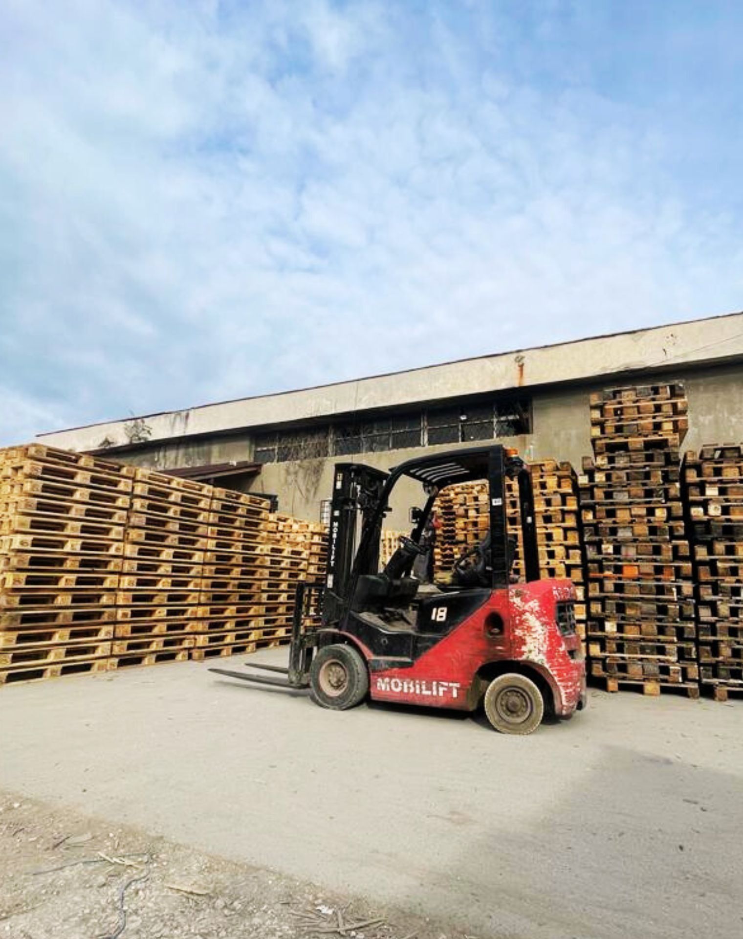 Design fără titlu (5)